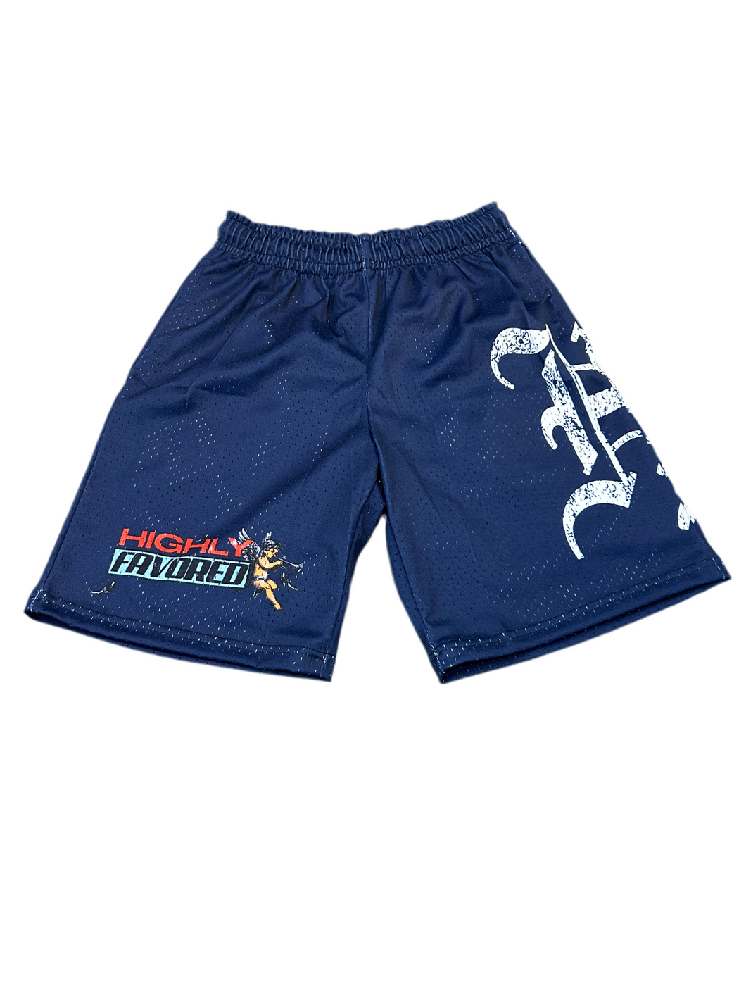Guardian Angel Mesh Shorts